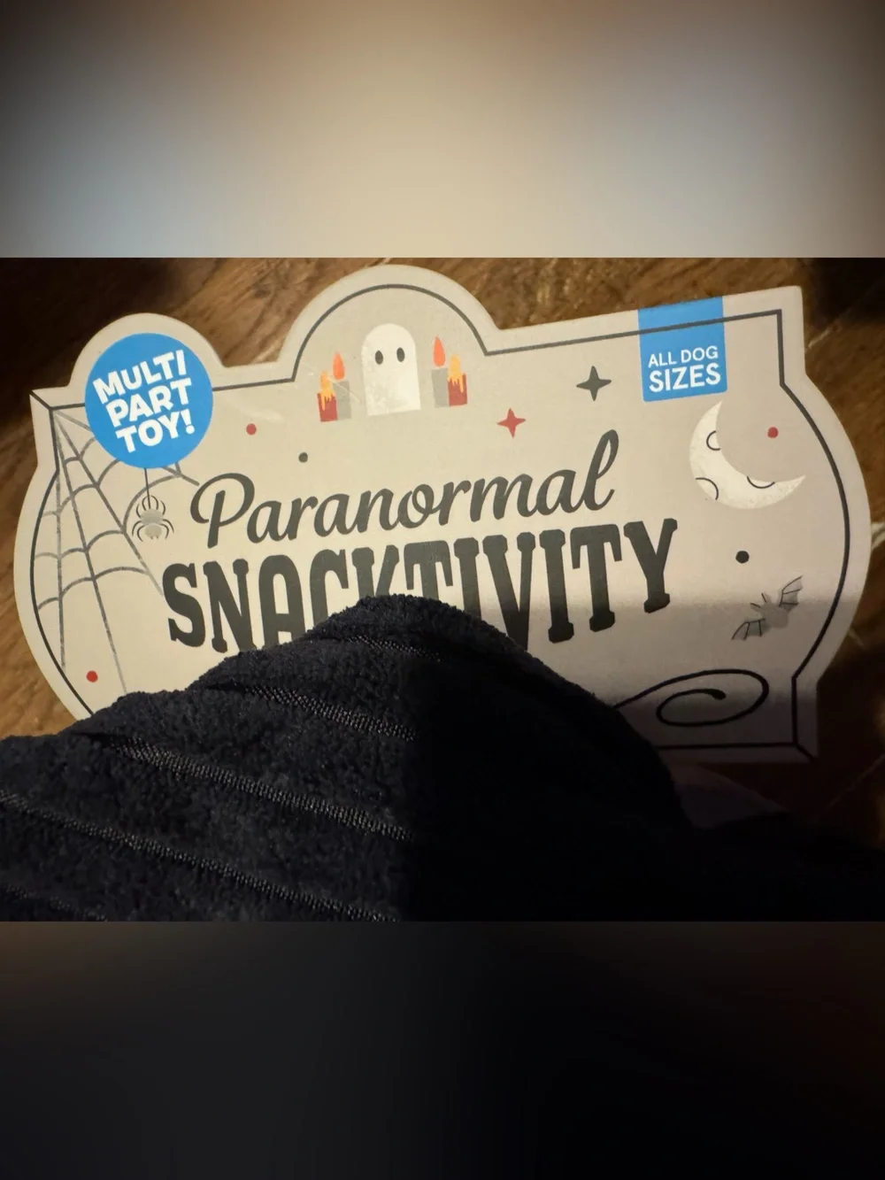 Bark Box XXL Paranormal Snacktivity NEW Multi-part Dog Toy Halloween Haunted Hou